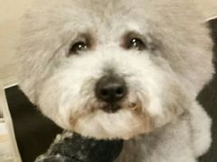 -艾贝尔宠物医院·24H转诊中心·肿瘤猫专科(江宁双龙店)
