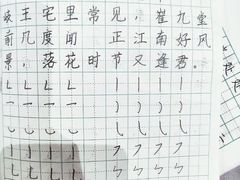-赵汝飞练字硬笔书法(航头校区)