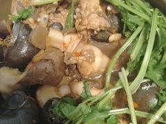 -食爺炭炉鸡煲·烧烤