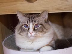 -白兔子密室(长寿路店)