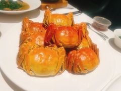 -黄记大闸蟹专卖店·活蟹·醉蟹