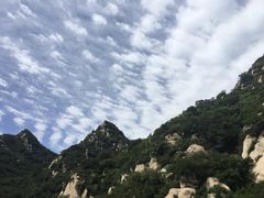 -大岭沟猕猴桃谷风景区