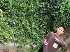 -石狮世茂摩天城摩天轮