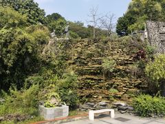 -广州神农草堂中医药博物馆