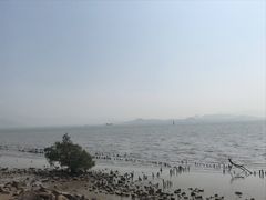 -深圳湾公园(南山区)