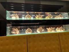 -哈尔滨索菲特大酒店-意日本料理铁板烧