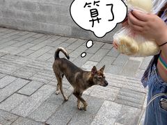 -清泉阁包子铺(中山路店)