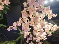 -城墙拐拐火锅(三峡广场黑金冠店)