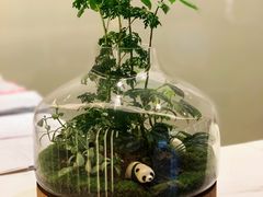 -齐玉齿科JADENTAL