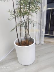 -HEYAN荷妍专业脱毛连锁机构