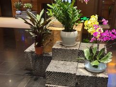 -黔蘑菇四季餐厅(观山湖店)