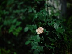 -苏州河梦清园环保主题公园