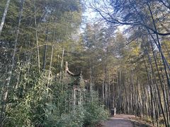 -采石矶景区