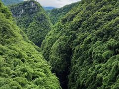 -阿依河景区