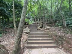 -凤栖山