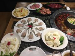 -杨肥肠火锅大排档(火车站花园店)