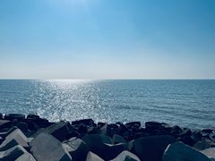 -东堤公园
