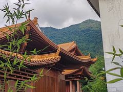 -深圳仙湖植物园