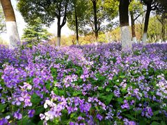 -白塘生态植物园