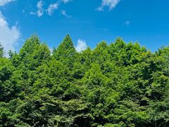 -山王坪喀斯特国家生态公园