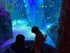 -沈阳海洋探索中心