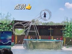 -黄龙溪欢乐田园