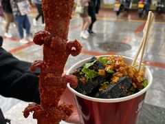 黑色经典老长沙大香肠-黑色经典臭豆腐·湖南特产(坡子街店)