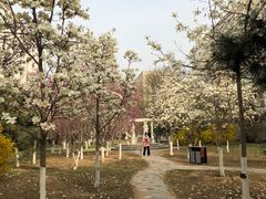-首都师范大学科德学院