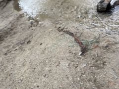 -白水寺森林公园