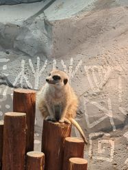 -Zoolung Zoolung动物主题公园(海信广场店)