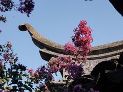 -艺圃