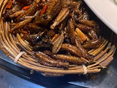 -昆虫窝子·特色云南菜(拓东路总店)