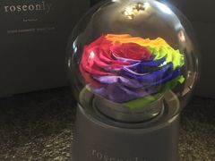-ROSEONLY诺誓(沈阳万象城店)