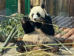 -大连森林动物园