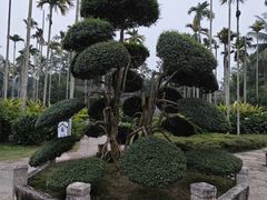 -沙美村