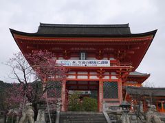 -有栖山 清光院 清水寺