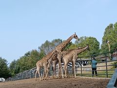 -大连森林动物园