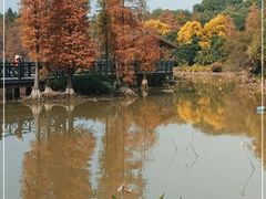 -海珠湖公园