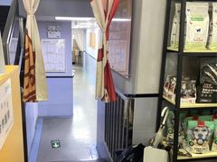 -渲嗳动物医院(异宠·复杂内科转诊中心·玖洲道富华里分院)