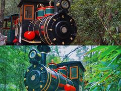 -九龙江国家森林公园