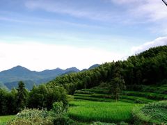 -泽雅景区