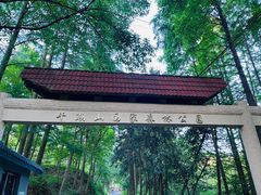 -午潮山国家森林公园