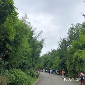 成都旅游攻略之成都大熊猫繁殖研究基地