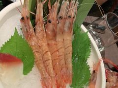 -極上萬膳·日料放题(海岸城店)