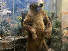 -国家自然博物馆