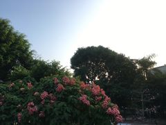 -炮台山公园