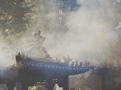 -秋霞圃