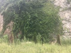 -王中王刨冰