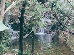 -羚羊峡古栈道森林公园