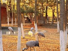 -艾溪湖湿地公园